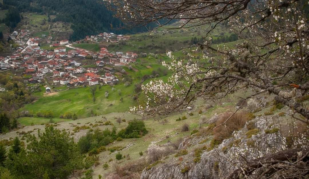 Вила Здравец Yagodina Buitenkant foto