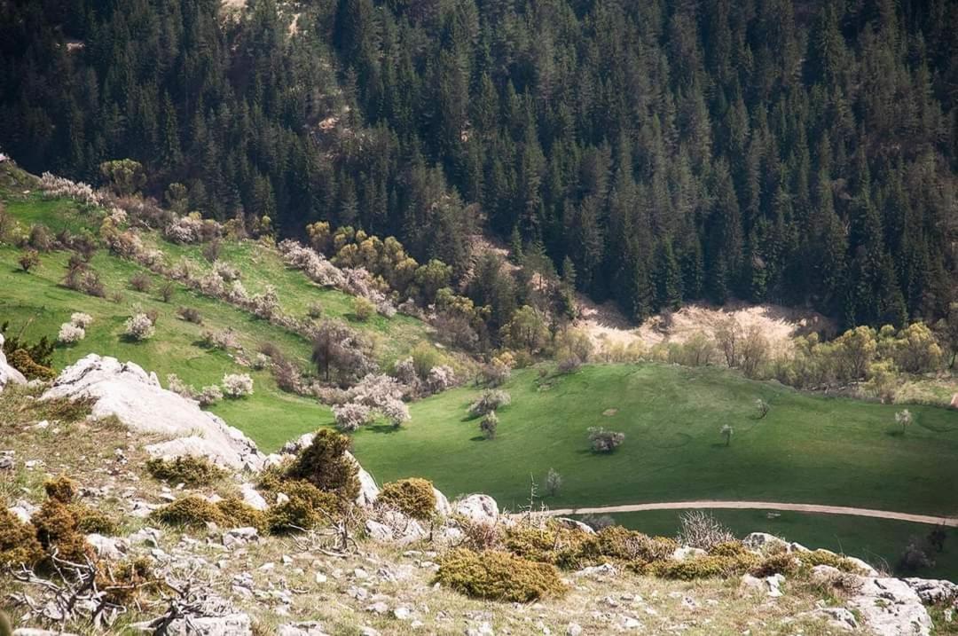 Вила Здравец Yagodina Buitenkant foto