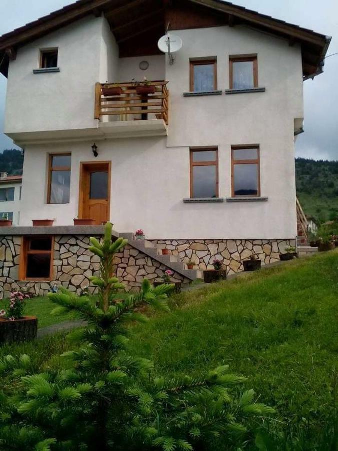 Вила Здравец Yagodina Buitenkant foto